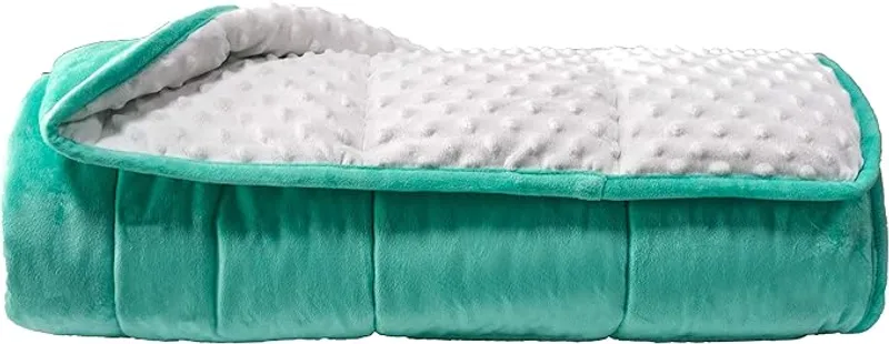 ALANSMA Reversible Weighted Blanket for All Season, Luxury Velvet, Warm and Cool, Adult 15Lb Green Weighted Blanket, Enjoy Sleeping Anywhere - Main Image